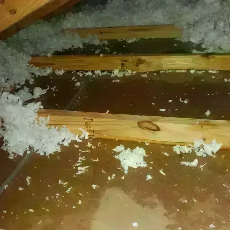 Attic Water Damage in Kingsgate, WA